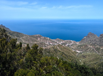 CANARIES-20240417-1110-d